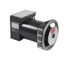 Mecc Alte ECP3-1L/4 (8,8 кВт)